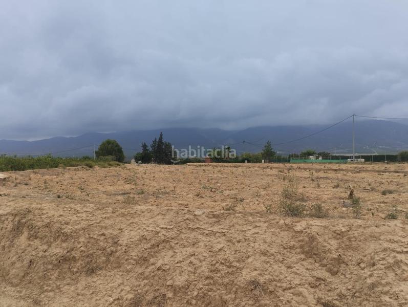 Foto 0d802cc6-bcf1-48c3-86c1-6ebb267848c2. Fondo rustico in Librilla