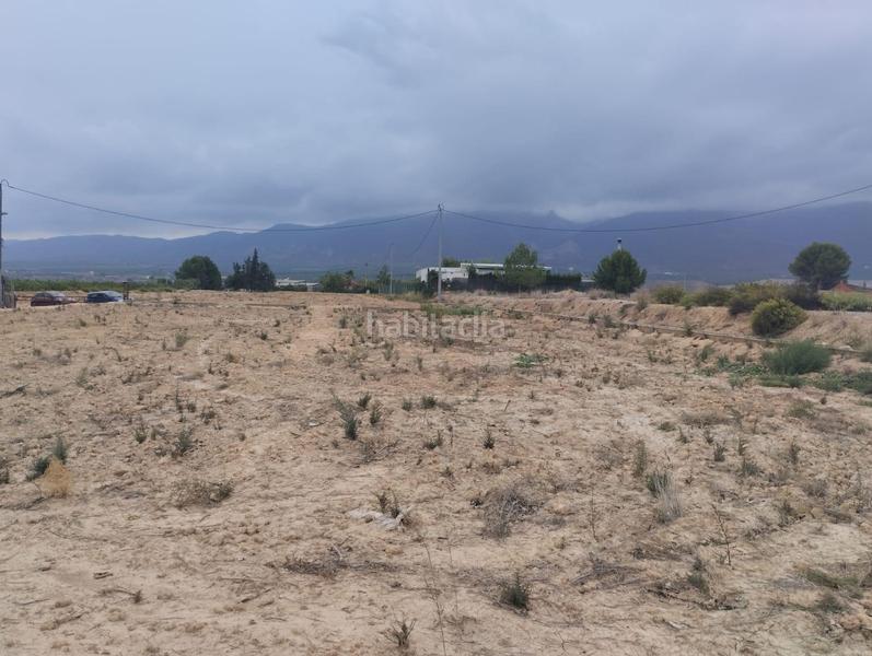 Foto 0e3843cc-ca79-4411-ae52-3691a9d1188b. Fondo rustico in Librilla