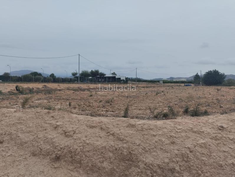 Foto 605b685f-b49a-4e2c-a944-06fbfeb252a0. Fondo rustico in Librilla