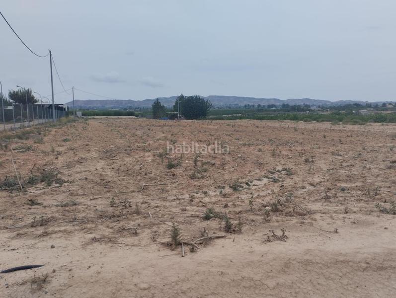 Foto 9eee6c1a-8a2f-4cad-b6a4-8f63c20fad4b. Fondo rustico in Librilla