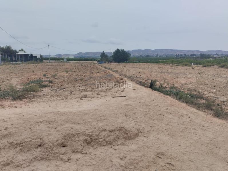 Foto a649e98f-b4b4-48f4-8b6a-1b06c808b610. Fondo rustico in Librilla