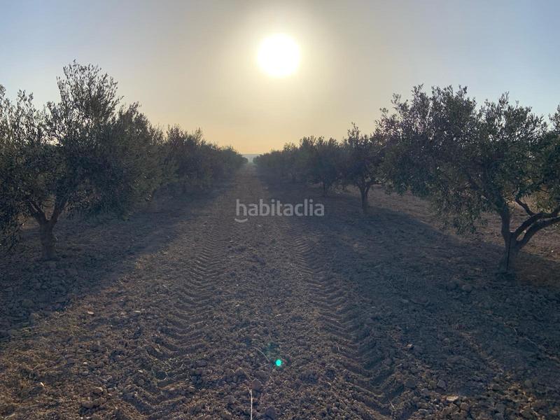 Foto 917ca99b-58eb-4101-bbf1-3218930aadf8. Finca rústica terreno rústicola junquera en Totana