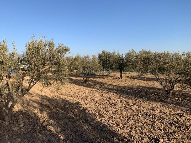 Foto 9e73245c-5f18-4419-9ed1-886027af247b. Finca rústica terreno rústicola junquera en Totana