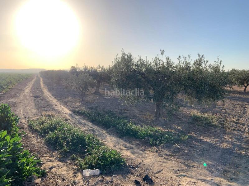 Foto bd1136d3-0636-4e92-baad-9d9295a102cf. Finca rústica terreno rústicola junquera en Totana