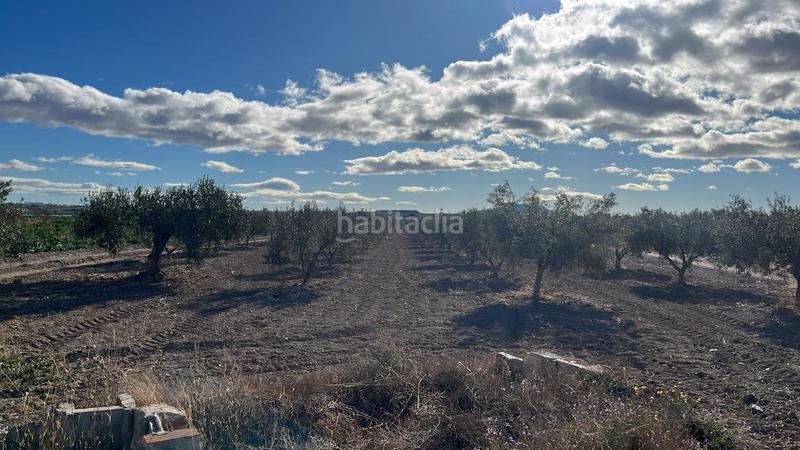 Foto c0f8c13d-a190-4d94-be7d-a0aaeccf129b. Finca rústica terreno rústicola junquera en Totana
