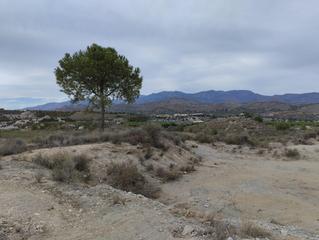 Residential Plot in Totana. Terrenorural totana
