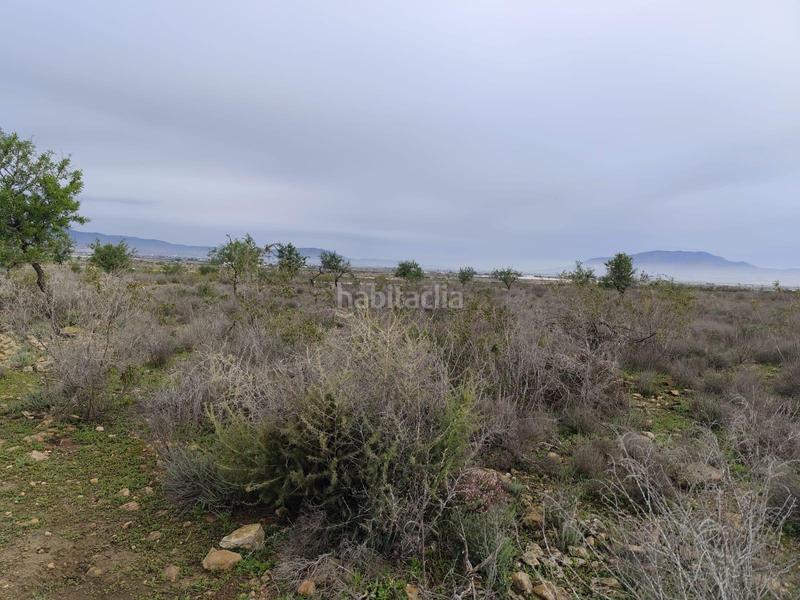 Foto 001bd2b4-10c1-4ba3-8516-7a5730fde32f. Landgut in Totana