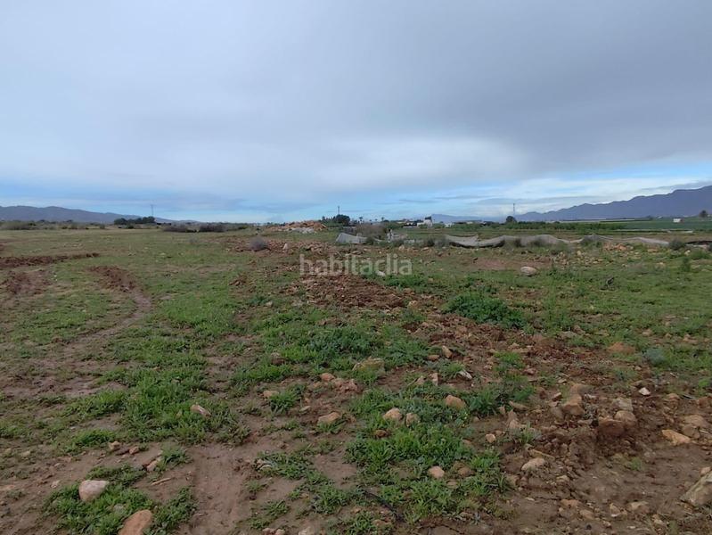 Foto 0c789629-f502-4b7e-be92-55cc3c238585. Landgut in Totana