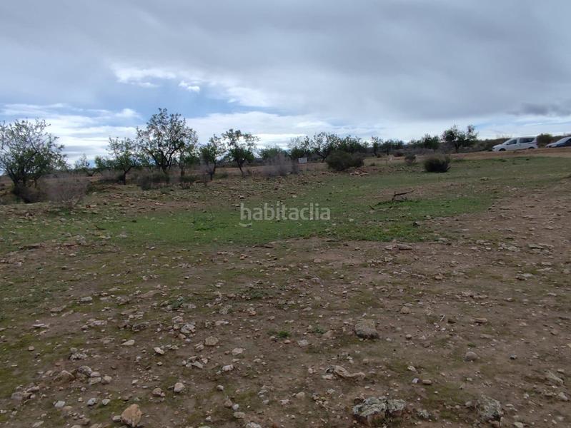 Foto 2897d7b3-2822-4c19-8d8b-0dc3ac0690ea. Landgut in Totana