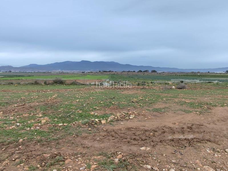 Foto 45dc2165-b30c-4ce5-9811-b1bff5ccd8e4. Landgut in Totana