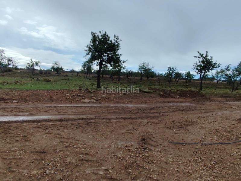 Foto 4ea64556-0527-4a26-80d2-c53c4e832a8b. Landgut in Totana