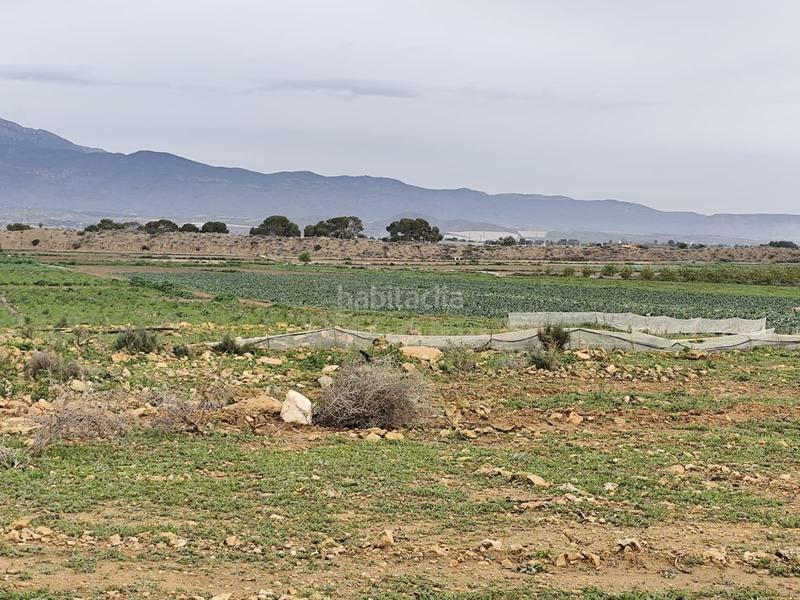 Foto 5de3af9c-c679-4f8b-804d-49cfb234fbe8. Landgut in Totana