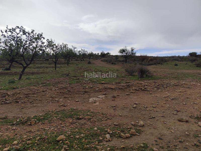 Foto 6e7baa99-60cb-4be3-acac-47af9b7e9f85. Landgut in Totana