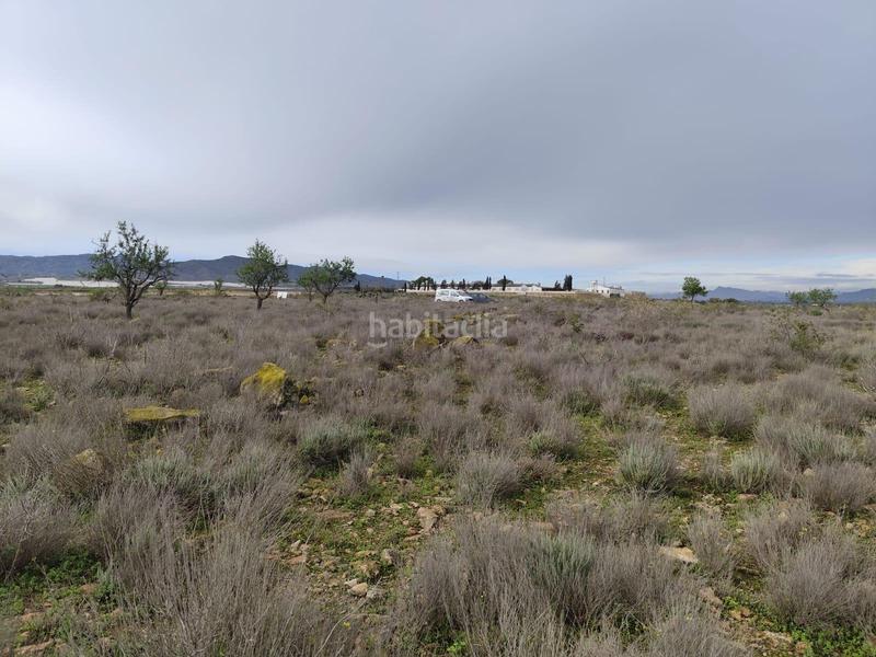 Foto 775330aa-507d-4d62-a95c-c3450003830a. Landgut in Totana