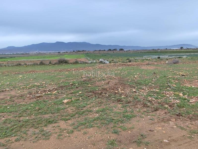 Foto ac581804-a075-41ae-8d34-3245bb65c97f. Landgut in Totana