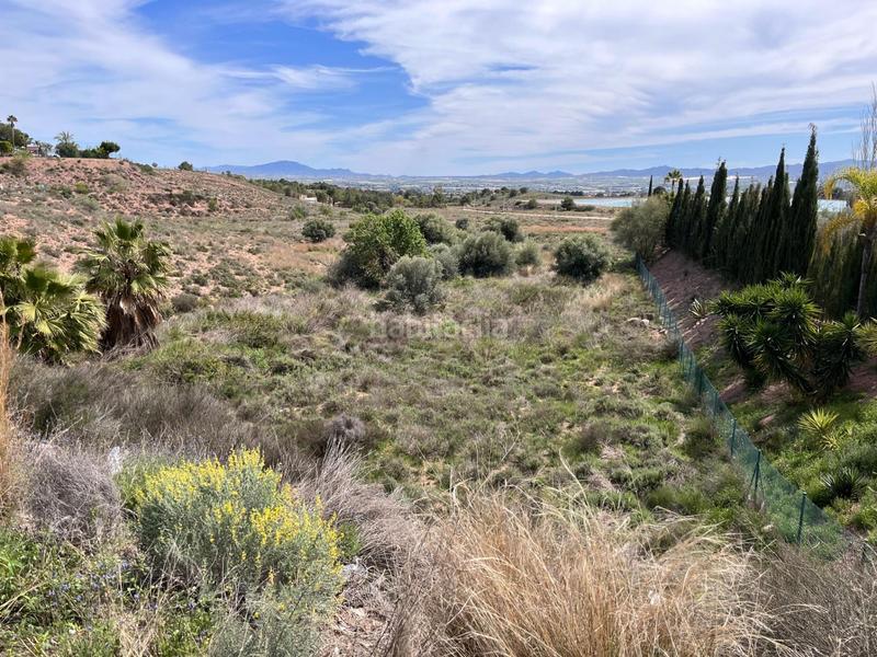 Foto 2029f4d9-d0f5-4619-8731-af8017dba988. Finca rústica terreno urbanizable en el trasvase en Totana