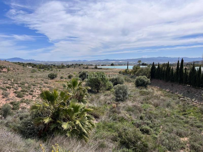 Foto 3e34e514-4763-49e4-8ef7-2f298f994aaf. Finca rústica terreno urbanizable en el trasvase en Totana