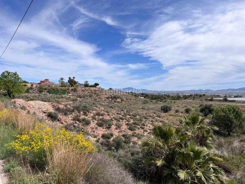 Foto 65fdb716-0f74-4d74-8138-8e827f2ec399. Finca rústica terreno urbanizable en el trasvase en Totana