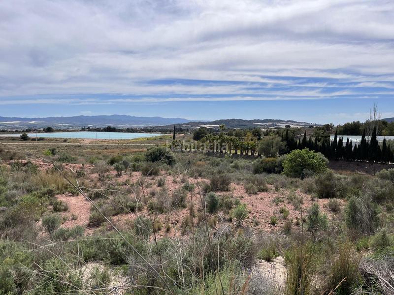 Foto a93563e7-2d18-4cf6-b831-1a99d3933b23. Finca rústica terreno urbanizable en el trasvase en Totana