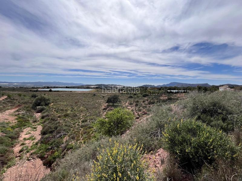 Foto c6b06b2e-f74a-4c34-b502-8905a9c1d1a5. Finca rústica terreno urbanizable en el trasvase en Totana