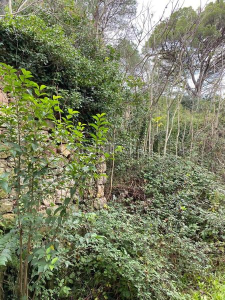 Foto 48db398b-8261-44c9-9243-f46c052a36e7. Terreno residenziale in Congost-Santa Caterina Manresa