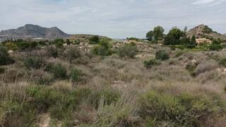 Residential Plot in Agost