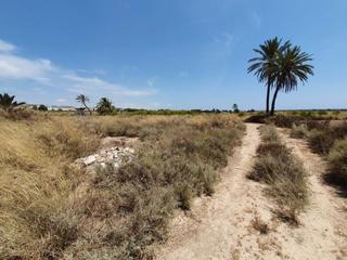 Residential Plot in El Altet