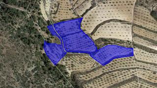 Terreny residencial a Romana (la)