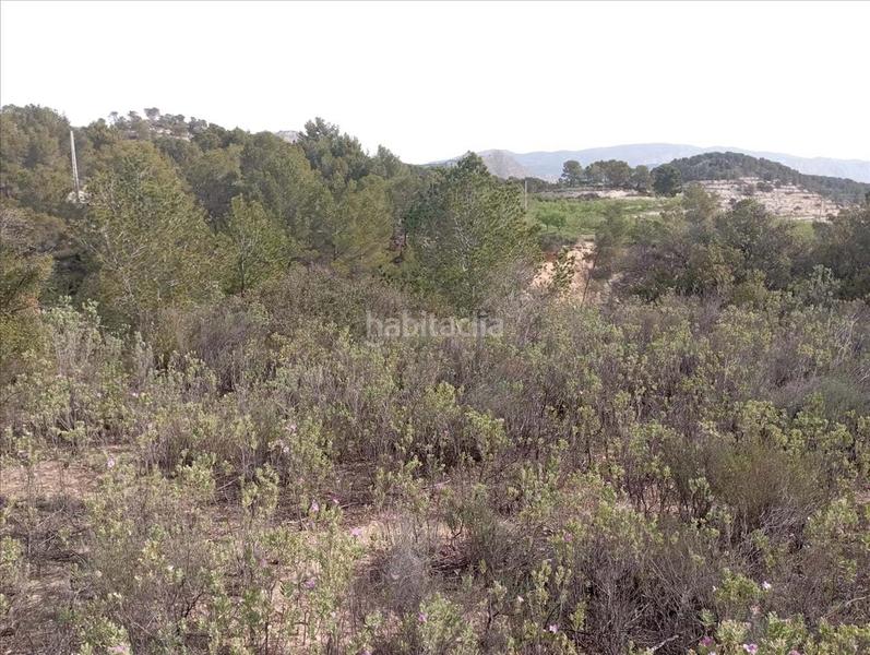 Foto 52728ba4-8c5e-4ed7-99bb-29facbb02f60. Terreno residencial en Relleu