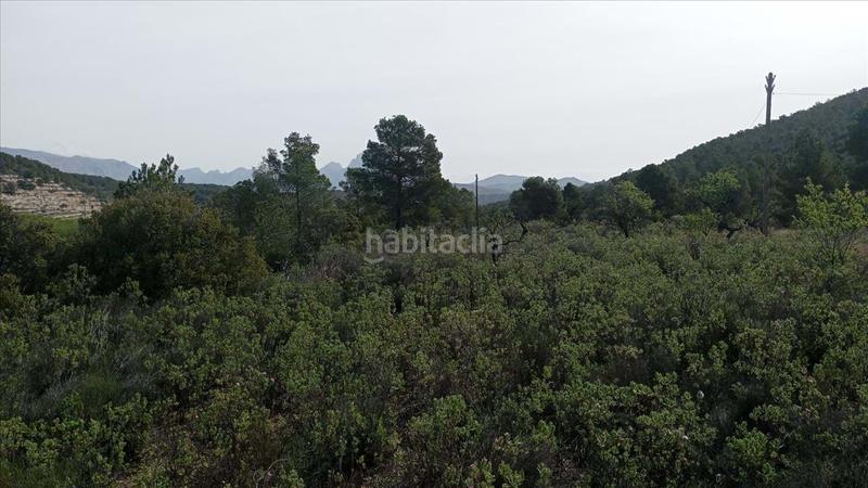 Foto 8dd93dd3-2c36-4042-8784-d48118adbcaf. Terreno residencial en Relleu