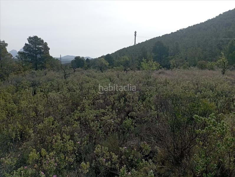 Foto 9bc58e22-9197-4290-94fa-4a8f1aa23011. Terreno residencial en Relleu