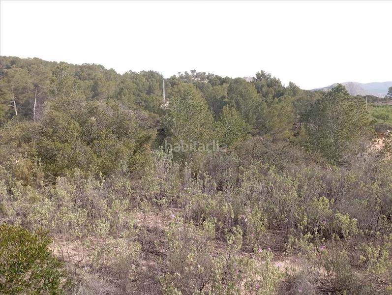 Foto b7915b0b-e847-4955-af78-11f73069442f. Terreno residencial en Relleu