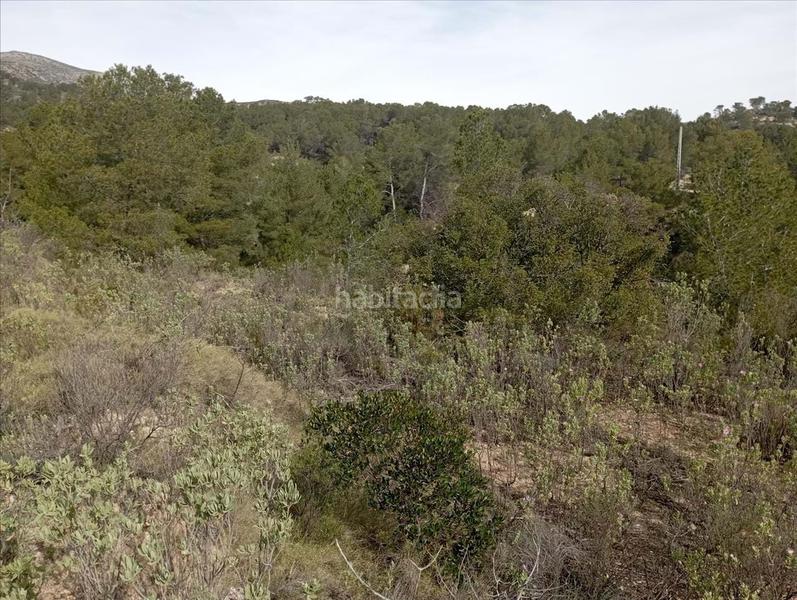 Foto e67a7635-35f9-4315-b5b3-573a701ad81a. Terreno residencial en Relleu