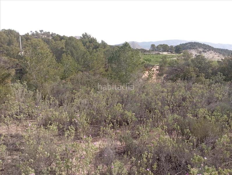 Foto fd733b77-021a-4e04-a7b9-cbfbb2b6c8e6. Terreno residencial en Relleu