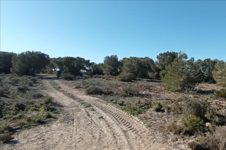 Terreny residencial a Lo meseguer. los montesinos, pol 1