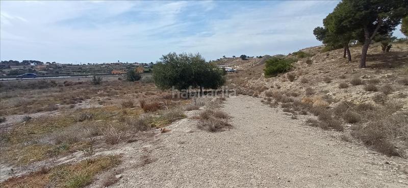 Foto b5893408-054f-4191-b13a-6a1208526a80. Fondo rustico in polígono 9 parcela in El Secanet-Hacienda del Sol Vila Joiosa (la)