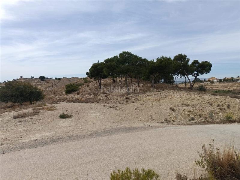 Foto 52df3ce5-6d7b-42fc-b4a2-99c5f0068723. Finca rústica a polígono 9 parcela a El Secanet-Hacienda del Sol Vila Joiosa (la)