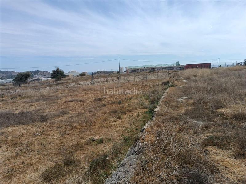 Foto d07c7d32-9e1b-4725-9f9e-684809dd56a0. Finca rústica a polígono 9 parcela a El Secanet-Hacienda del Sol Vila Joiosa (la)