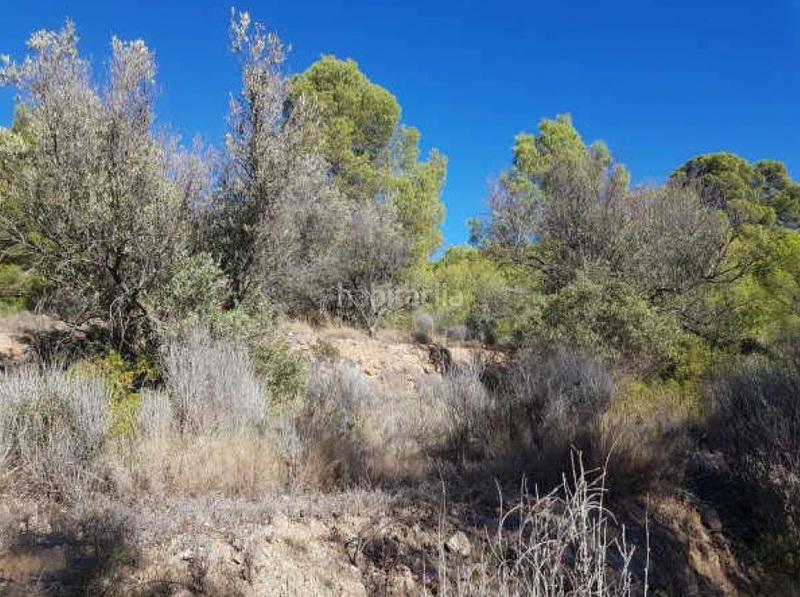 Foto 02ee5e44-62a9-4e7a-a99a-3d4d2d71ab27. Wohngrundstück in foya del cac in Finestrat pueblo Finestrat