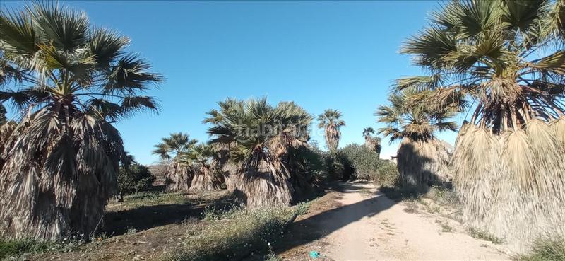 Foto 630b26c9-aff4-4570-8211-02dc0e9f1183. Propriété dans lo meseguer. los montesinos dans Montesinos (Los)