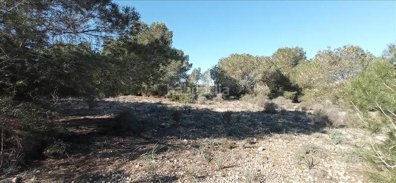 Foto 85333b3a-1665-41ab-8f45-d0d3df94f5b8. Propriété dans lo meseguer. los montesinos dans Montesinos (Los)