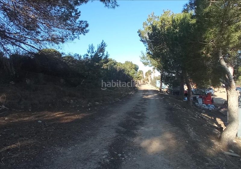 Foto 96e9ea73-e7a8-471b-b04f-86bf4bec9bad. Propriété dans lo meseguer. los montesinos dans Montesinos (Los)