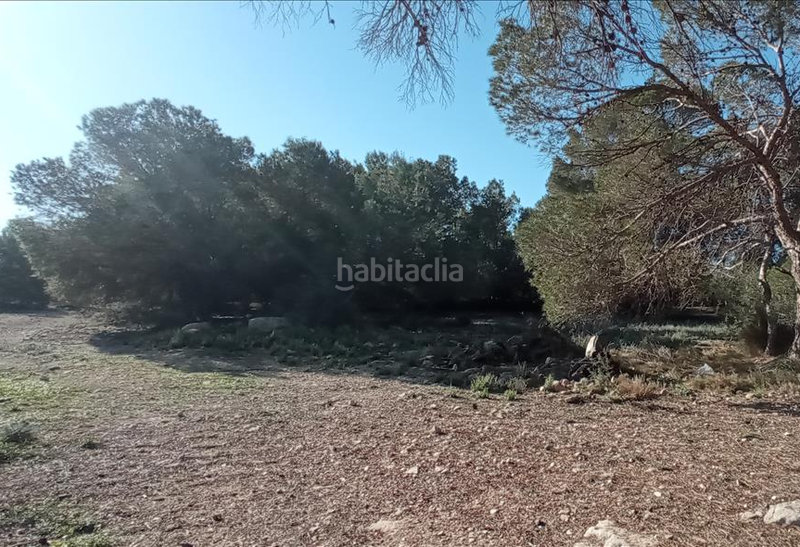 Foto a6d1d38e-ab93-4ca5-9a9d-4c3692d8cfad. Propriété dans lo meseguer. los montesinos dans Montesinos (Los)