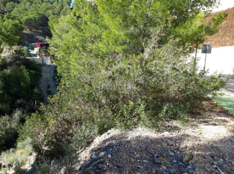 Foto 2d19c594-3cd1-4149-8f1f-567c42706ecc. Terreny residencial a suiza a Altea hills Altea