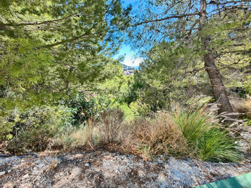 Foto 510e27cc-5726-4044-974e-6cedd05ef358. Terrain résidentiel dans suiza dans Altea hills Altea