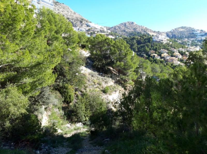 Foto 35eb4465-92c8-4a12-b90b-d619c2ec3840. Terreno residenziale in suiza in Altea hills Altea