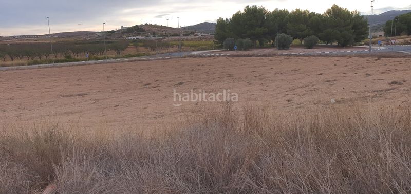 Foto 1ea40738-0e95-4a97-86dc-d2d16f97b4ea. Finca rústica a proc. simplificado a Pinoso