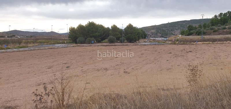 Foto 302b4943-7261-424e-913f-fea452e3c2df. Finca rústica a proc. simplificado a Pinoso