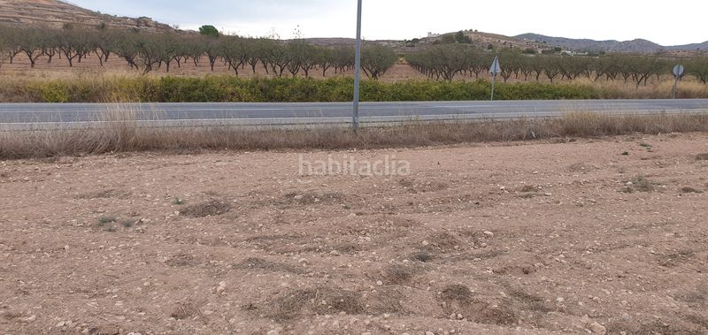 Foto 6e772bc1-eb1c-4f87-a069-41ff9223f002. Finca rústica a proc. simplificado a Pinoso