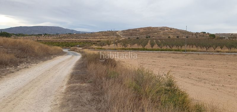 Foto 7cfa8853-8ec1-4877-b880-dce8c239e72a. Finca rústica a proc. simplificado a Pinoso